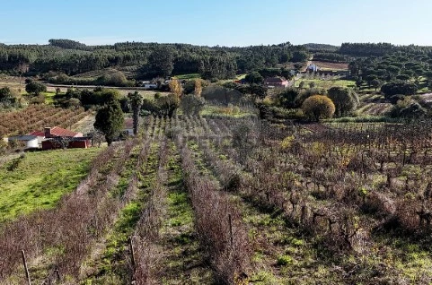 Terreno em Alguber, Cadaval