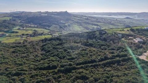 Terreno em Carnota, Alenquer