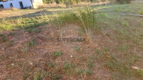Terreno em São Facundo e Vale das Mós, Abrantes