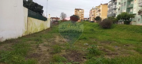 Terreno em Cartaxo e Vale da Pinta, Cartaxo