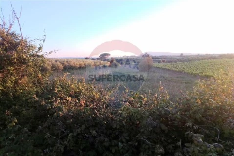 Terreno em Manique do Intendente, V.N.De S.Pedro e Maçussa, Azambuja