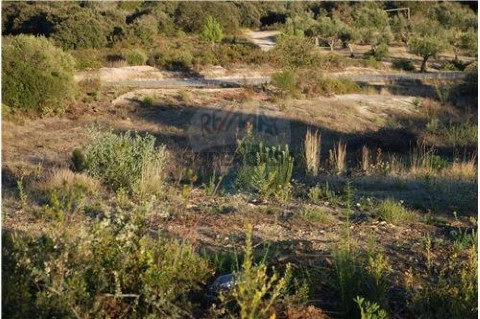 Terreno na Golegã, Golegã