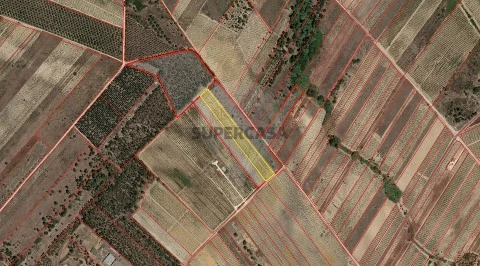 Terreno em Alpiarça, Alpiarça