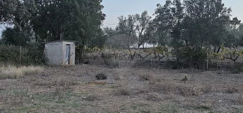 Terreno em Abrantes (São Vicente e São João) e Alferrarede, Abrantes