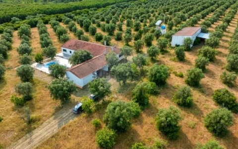 Quinta T4 em Almoster, Santarém