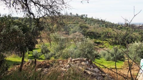 Maison 3 Chambres au Santa Margarida da Coutada, Constância