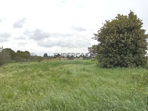 Terreno em Vale da Pedra, Cartaxo