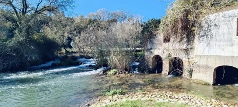 Arrecadação em Casével e Vaqueiros, Santarém