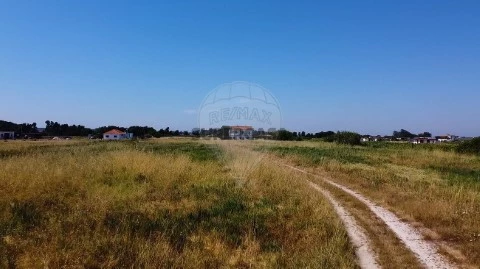 Farm  in Almeirim, Almeirim