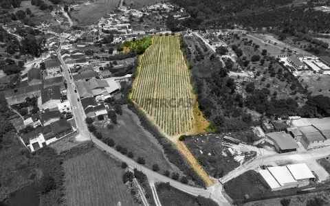 Terreno em Cartaxo e Vale da Pinta, Cartaxo