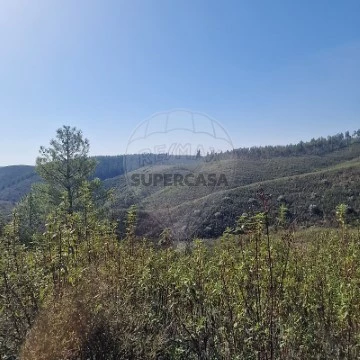 Terreno em Envendos, Mação