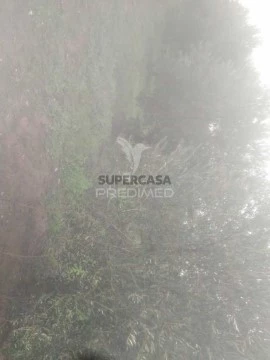 Terreno em Fontelo, Armamar