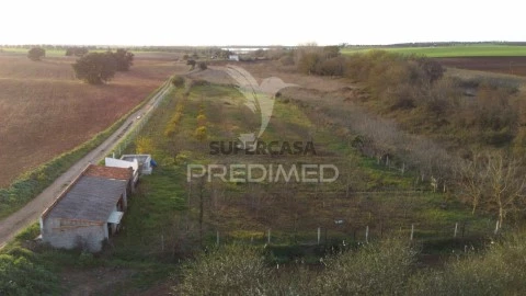 Terreno em Trigaches e São Brissos, Beja