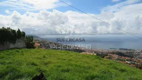 Terreno em São Roque, Funchal