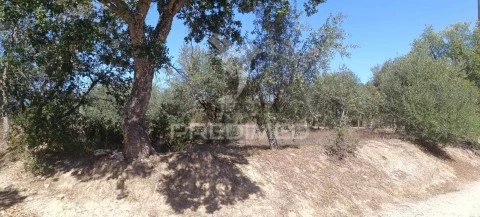 Terreno em Arez e Amieira do Tejo, Nisa