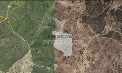 Terreno em Santana, Nisa