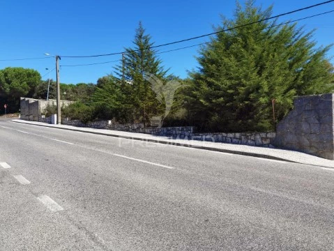 Terreno em Minde, Alcanena