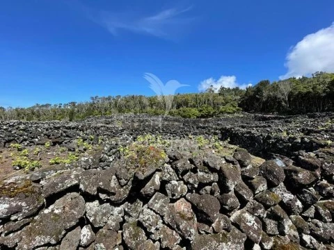 Terreno na Madalena, Madalena