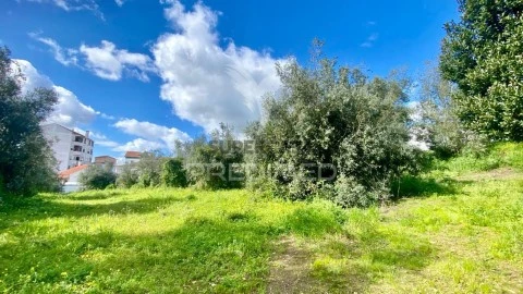 Grundstück auf Rio Maior, Rio Maior