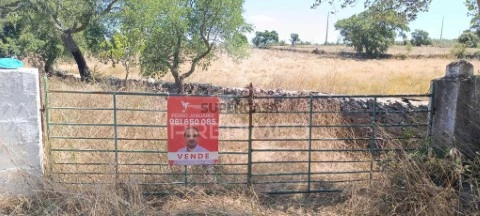 Terreno em Montalvão, Nisa