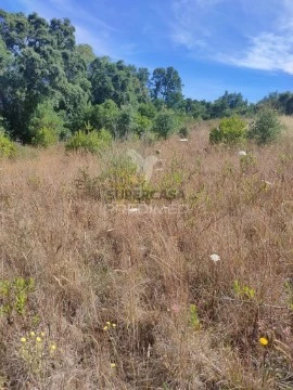 Terreno em Junceira, Tomar