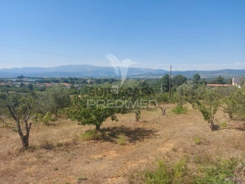 Quinta Rural em Fundão, Valverde, Donas, A. Joanes, A. Nova Cabo, Fundão