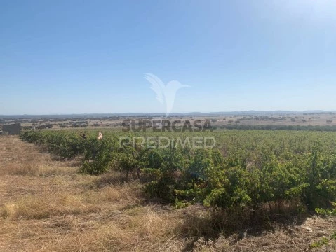Terreno em Amareleja, Moura