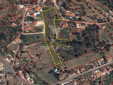 Terreno em Praia do Ribatejo, Vila Nova da Barquinha