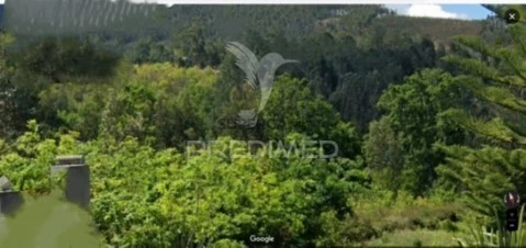 Terreno em Sever do Vouga, Sever do Vouga