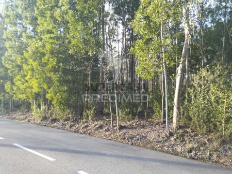 Terreno em Oliveirinha, Aveiro
