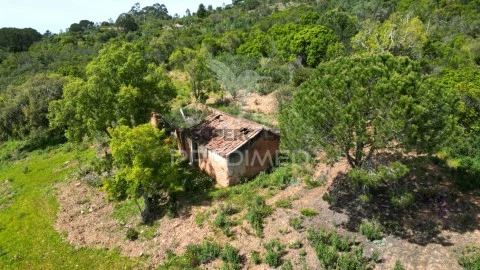 Quinta Rural em São Teotónio, Odemira