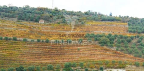 Moradia em Abaças, Vila Real