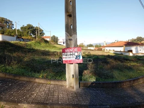 Terreno em Chamusca e Pinheiro Grande, Chamusca
