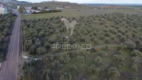 Terreno em Assunção, Ajuda, Salvador e Santo Ildefonso, Elvas