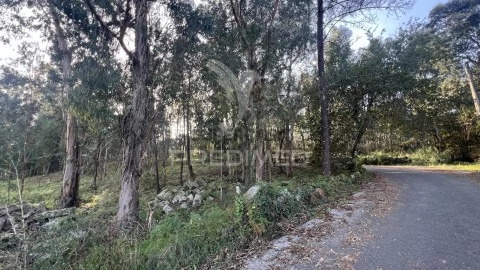 Terreno em Turiz, Vila Verde