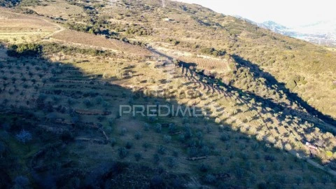 Terreno em Vila Nova de Foz Côa, Vila Nova de Foz Côa