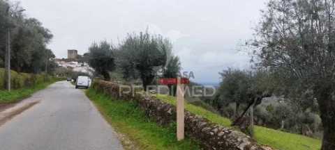 Terreno em Santa Maria da Devesa, Castelo de Vide