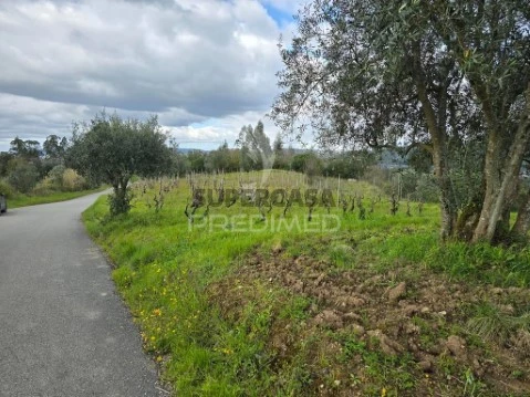 Terreno em Almalaguês, Coimbra