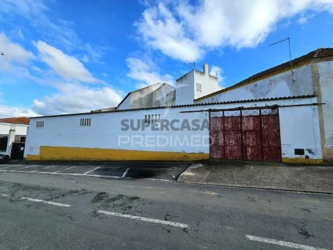 Terreno em Castro Verde e Casével, Castro Verde