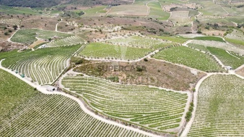 Terreno em Poço do Canto, Meda