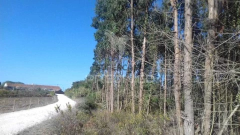 Terreno em Vimeiro, Lourinhã