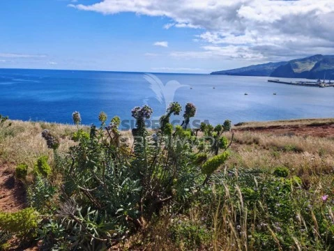 Terreno em Caniçal, Machico
