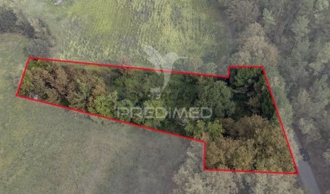 Terreno em Lage, Vila Verde