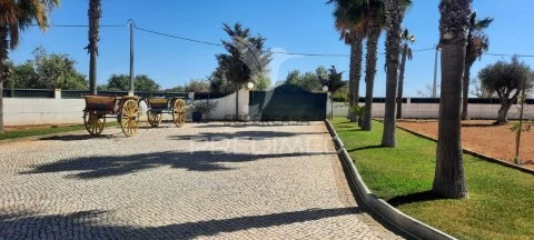 Quinta Rural T5 em Guia, Albufeira