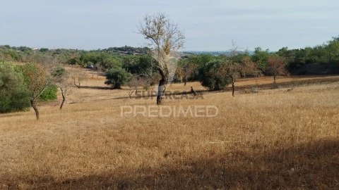 Terreno em Estoi, Faro