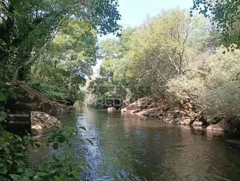 Quinta Rural T2 em São Pedro e Santa Maria e Vila Boa do Mondego, Celorico da Beira