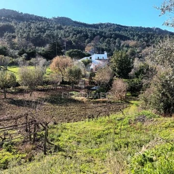 Quinta Rural T3 em Santa Maria da Devesa, Castelo de Vide