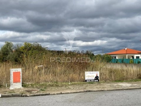 Terreno em Freixo de Numão, Vila Nova de Foz Côa