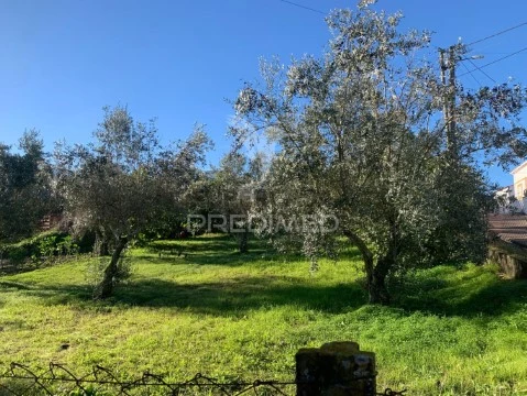 Terreno em Alvega e Concavada, Abrantes