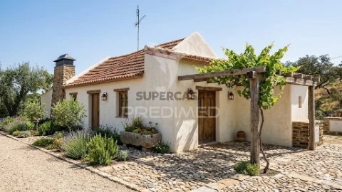 Corps de ferme de l'Alentejo 2 Chambres au Couço, Coruche